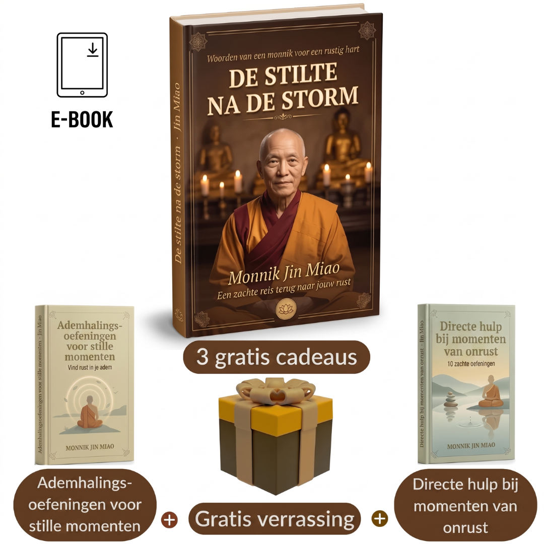 De Stilte na de Storm