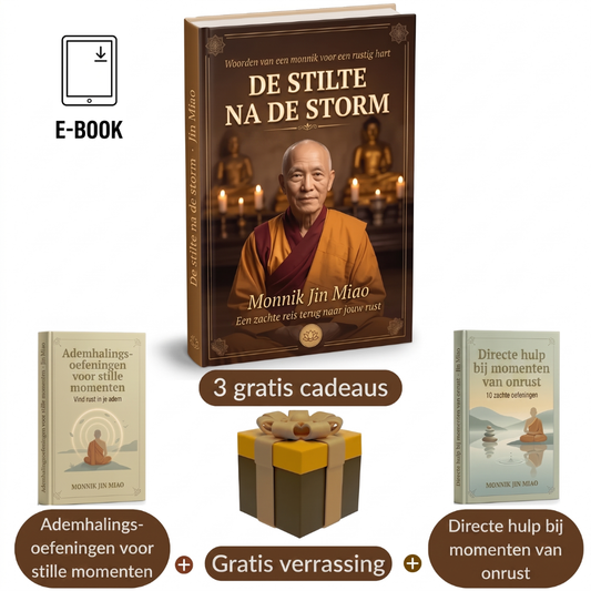 De Stilte na de Storm